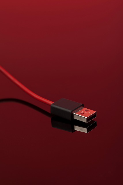 V8 Data Cable RS24 view 2